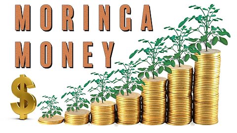 How To Make Money Growing Moringa | 2nd Annual Members Meeting 9.9.23