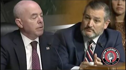 JUST IN: Ted Cruz Interrogates Mayorkas Over 'Biden Cages,' COVID-19 Positive Undocumented Migrants