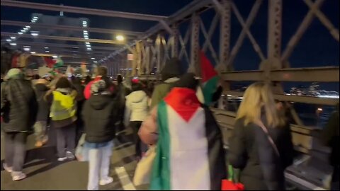 Pro-Hamas Protesters Shut Down The Brooklyn Bridge