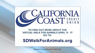 San Diego Humane Society's Annual Walk for Animals is Virtual This Year
