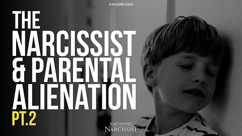 The Narcissist and Parental Alienation : Part 2