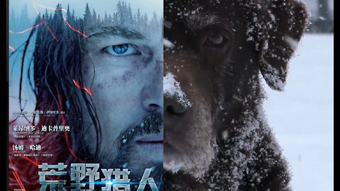 The Revenant Dog's look