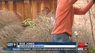 High winds blow hundreds of tumbleweeds into Kern County