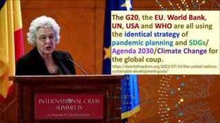 DR MERYL NASS (USA) The WHO Coup | ICS 4 November 19, 2023