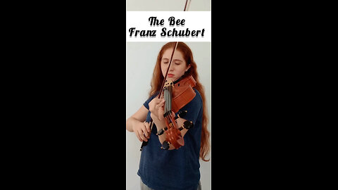 The Bee - Franz Schubert | Viola