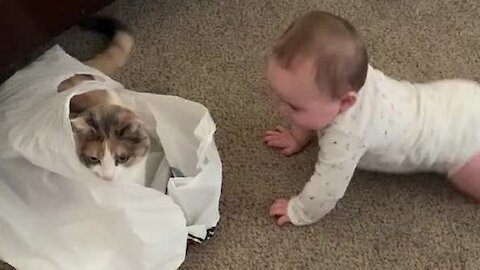Baby Sees Cat In Plastic Bag, Breaks Out Into Hysterical Laughter