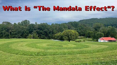 What is “The Mandala Effect" ?