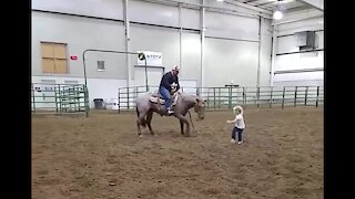 Horse Incredibly Plays With Little Girl Best Friend
