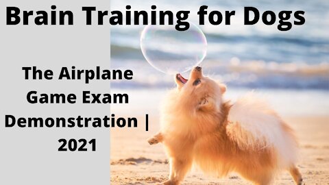 Brain Training for Dogs - The Airplane Game Exam Demonstration | 2021