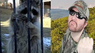 Who Talks To A Raccoon? Do Not Try This At Home (Carsenparker) REACTION!!! (BBT)