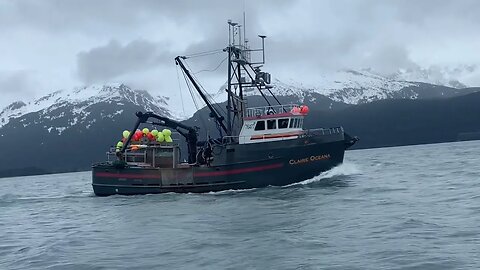 A little video of Reserection Bay Seward, Alaska 5/24/2023