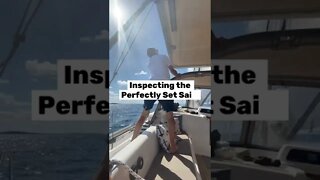 Sailing Cruiser Highlights #shorts