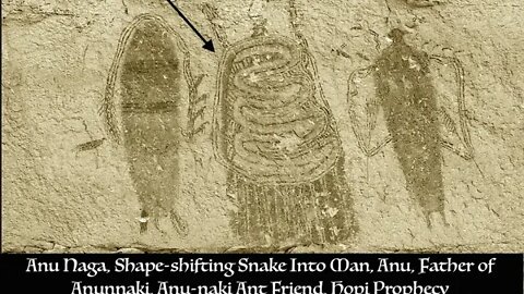 Anunnaki Shape-shift & They Visited America, Hopi Prophecy is Right, Anu-naki, Ant Friend