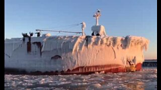 Stort fiskefartyg täckt av is flyter in till hamnen i Minnesota