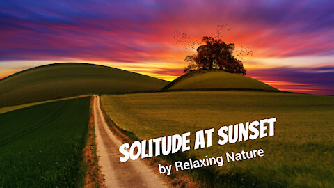 Solitude at Sunset – 2-1/2 hours of Beautiful, Relaxing Music for Study, Work, Meditation, Sleep