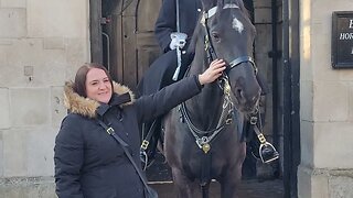 horse wants to bite and touching the reins #horseguardsparade