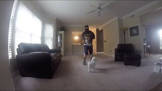 ROBBERY EXPERIMENT ON MY DOG! (Dog vs. Intruder)