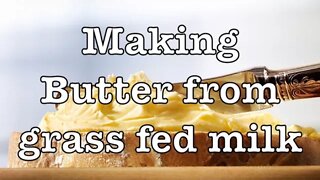 How to make butter from grass fed raw milk