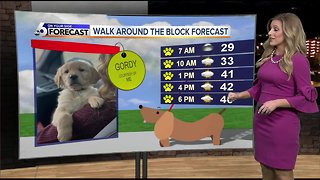 Dog Walking Forecast - McKenna