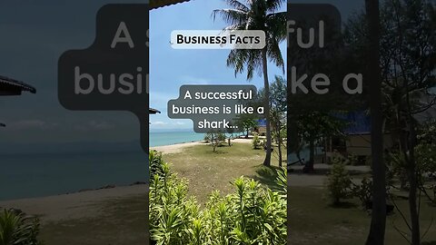 Business Facts shark