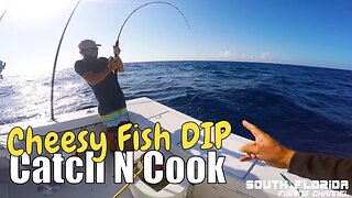 Fishing problems on a Key Largo wreck | CHEESY Fish Dip catch n cook