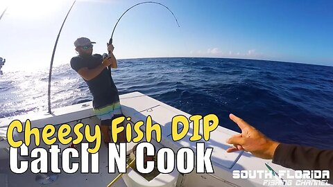 Fishing problems on a Key Largo wreck | CHEESY Fish Dip catch n cook