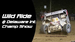 Wild Ride at the 2020 Delaware International Champ Show