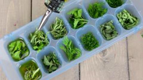 How To Freeze Your Fresh Herbs