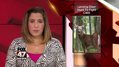 Deer to be hunted, tested for disease in Lansing