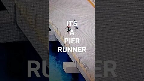 It's a Pier Runner! #shorts #short #shortvideo #shortsvideo #youtubeshorts #cruise #cruiselife