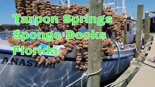 Walk-through of Tarpon Springs Sponge Docks, Fl