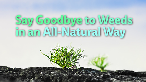 Say goodbye to weeds in an all-natural way