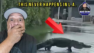 HELP! I'M UNDERWATER IN LOS ANGELES!!!