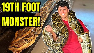 Florida SNAKE Hunters CATCH MONSTER 19 FOOT BURMESE PYTHON! "CHAOS" in VIRAL VIDEO!