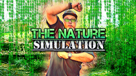 Dreaming of the Nature Simulation | Mother Earth