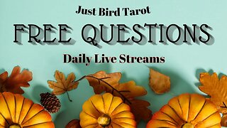 Free Live Tarot - Personal Questions