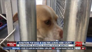 Local reporter holds fundraiser for dogs in shelter