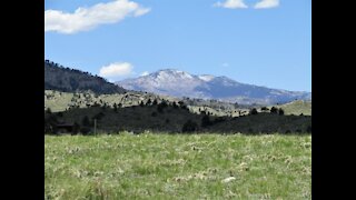 Wyoming Vistas: Glimpses of Spring