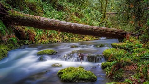 RELAXING SLEEP SOUND - RAIN AND WATERFALL SOUND - SLEEP FAST