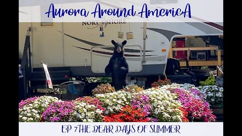 EP7 Aurora Around America Bear Days of Summer