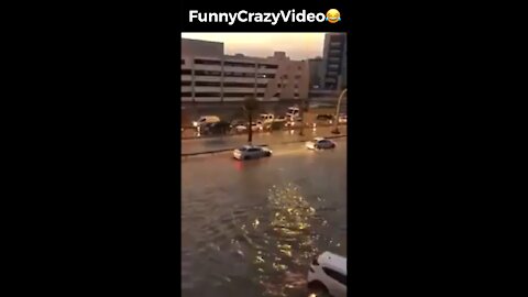 Mr FunnyCrazyVideo😂 Just Incredible Video Funny and Crazy #Like Follow for Follow 🥰