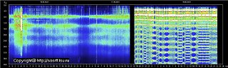 The Schumann Resonance is Going CRAZY!