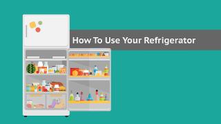 How to Use Your Refrigerator