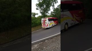 bus pariwisata imas putra