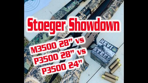 Stoeger 12 Gauge Showdown. M3500 Waterfowl Edition vs P3500 28" vs P3500 24". Hevi Steel 3 1/2" #2.