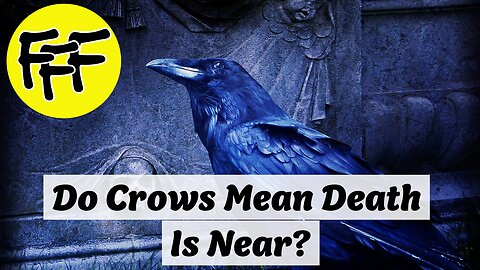 Do Crows Mean Death Is Near?