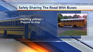 School buses returning to the road, how to keep kids safe