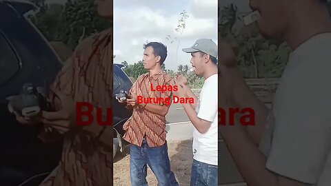 Burung Dara Jinak dilepas dari bandara balik sendiri ke rumah