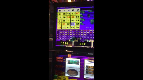 Casino Slots: Thats a lot of quarters! #casino #vgt #redscreen #slots #shortfeed #shorts