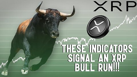 THESE Indicators Signal An XRP Bull Run!!!